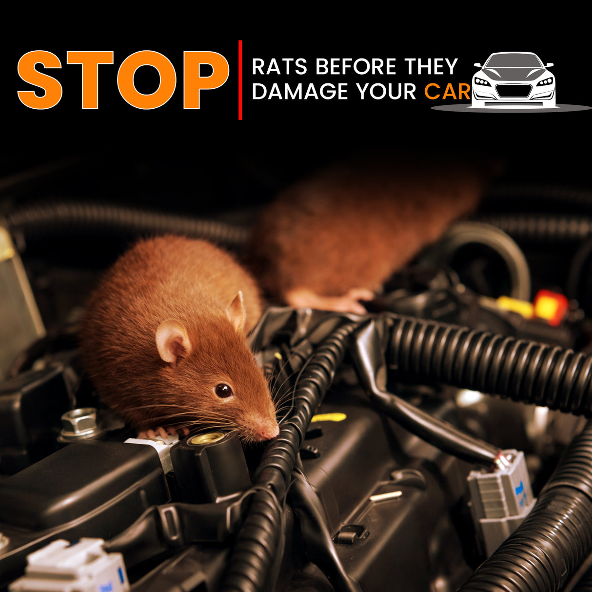 GRAND PITSTOP Rat Repellent Spray for Cars 200 ml | Non-Toxic Rodent Repeller for Car Engine Bay & Interior | Long-Lasting Protection | Easy Spray Application